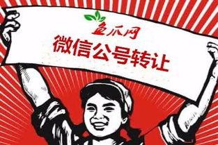 今日頭條賬號審核不通過或被封禁的應(yīng)對策略與網(wǎng)絡(luò)信息轉(zhuǎn)讓注意事項(xiàng)